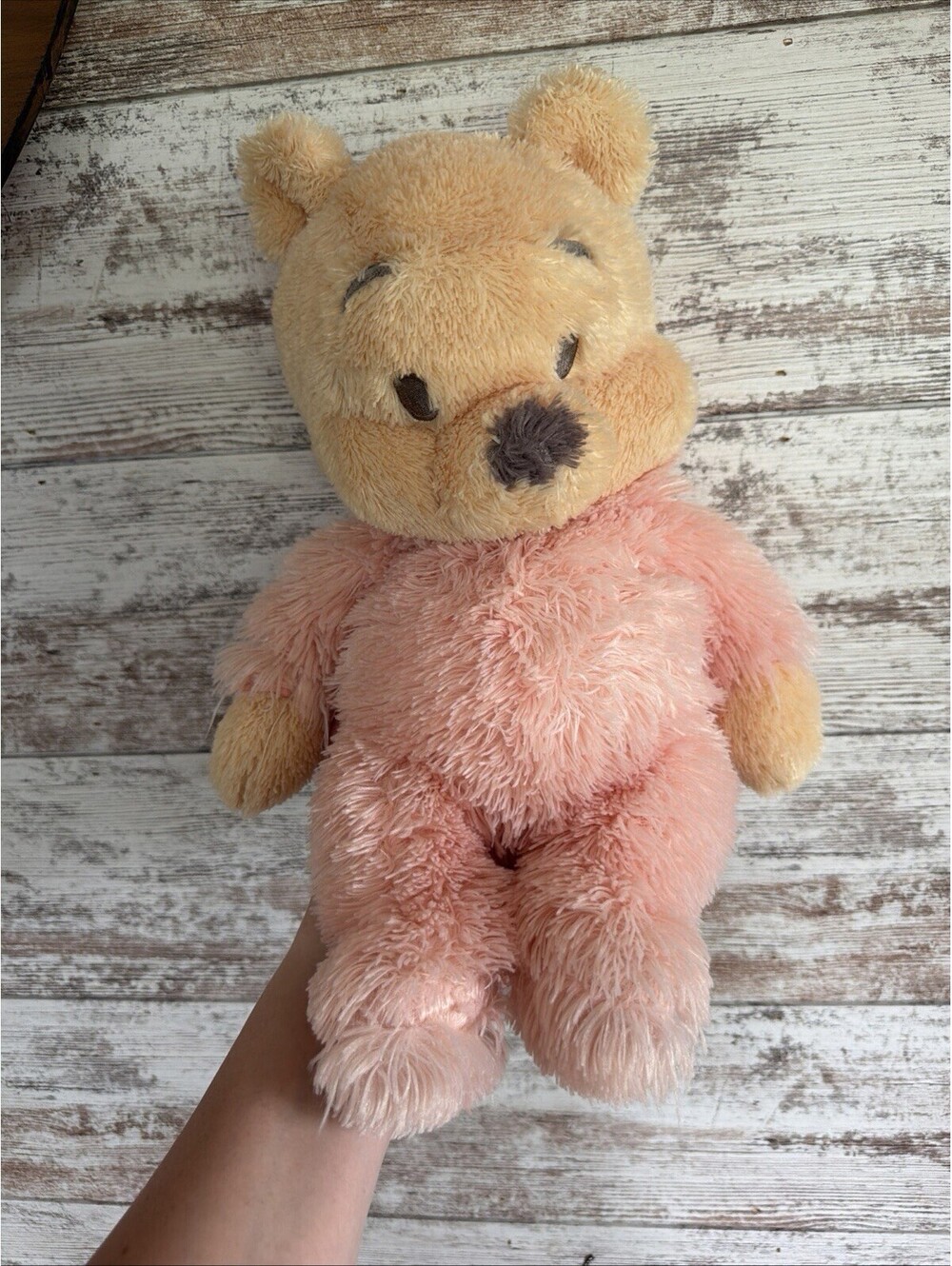 Disneyland Walt Disney World Winnie The Pooh Fluffy Plush EUC